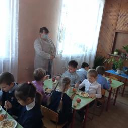 Родительский контроль за организацией питания